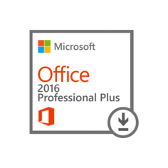 Microsoft Office Professional