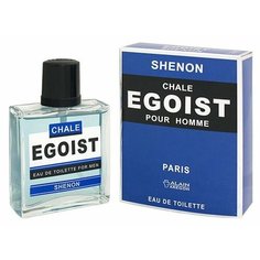 Туалетная вода Alain Aregon