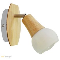 Спот Lussole Lgo LSP-0119