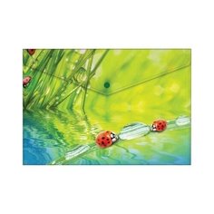 Папка-конверт на кнопке Berlingo