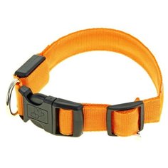 Ошейник Пижон с подсветкой