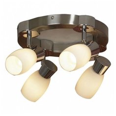 Спот Lussole Scalera