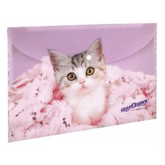 Папка-конверт с кнопкой Юнландия