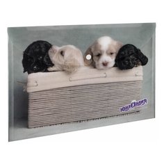 Папка-конверт с кнопкой Юнландия