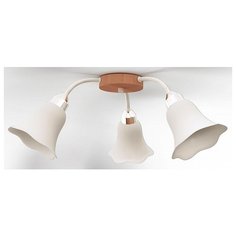 Потолочная люстра Дубравия