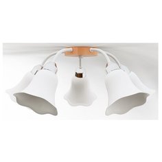 Люстра потолочная Дубравия