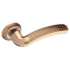 Ручка дверная Palladium City A