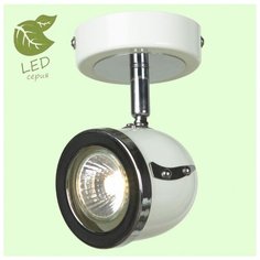 Спот Lussole Loft GRLSN-3111-01