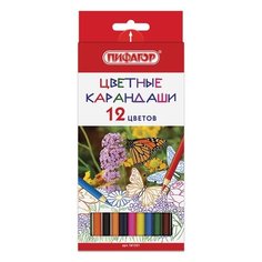 Карандаши цветные пифагор