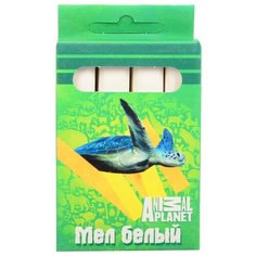 Мелки школьные Action ANIMAL Action!