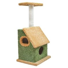 Дарэлл Домик-когтеточка Касса