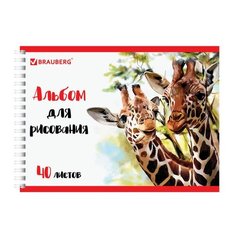 Альбом для рисования А4 40 л. Brauberg