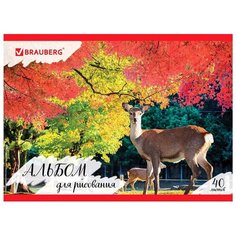 Альбом для рисования A4 40 Brauberg