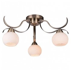 Потолочная люстра TopLight