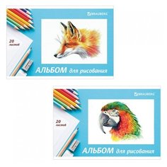 Альбом для рисования А4 20 л. Brauberg