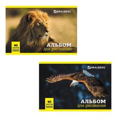 Альбом для рисования А4 40 л. Brauberg