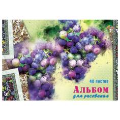 Альбом для рисования на скрепке Апплика