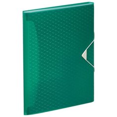 Папка-органайзер Esselte