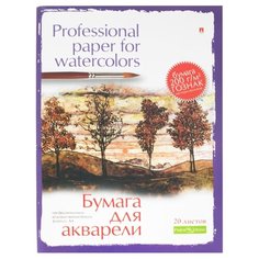 Папка Альт для акварели