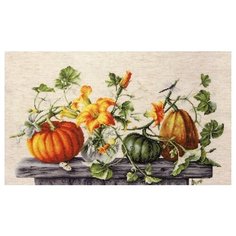 Набор для вышивания Luca-S