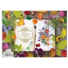 Альбом для рисования 40 листов Hatber