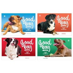 Альбом для рисования 40л. А4 на BG®