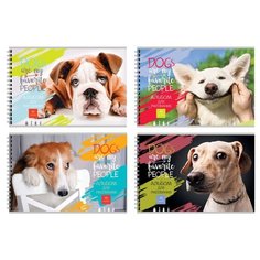 Альбом для рисования 40л. А4 на BG®