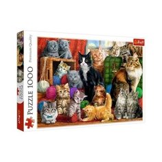 Пазл 1000 эл. Trefl Кошачья