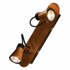 Спот Lussole Forli LSL-6801-02