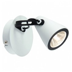 Спот Lussole Merano LSN-4101-01