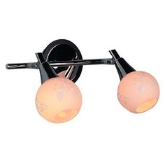 Спот Omnilux Leiston OML-21501-02