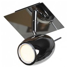 Спот Lussole Baron LSN-4301-01