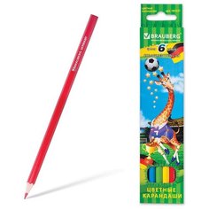 Карандаши цветные Brauberg.