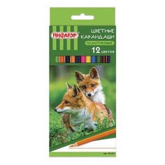 Карандаши цветные пластиковые Пифагор