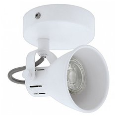 Спот Eglo Seras 98393