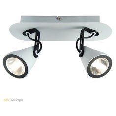 Спот Lussole Loft LSN-4101-02