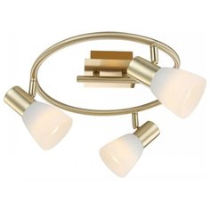 Спот Globo 54538-3 Raider I