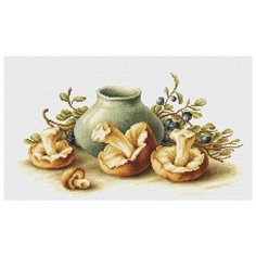 Набор для вышивания Luca-S