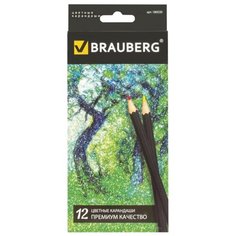 BRAUBERG Карандаши цветные Artist line 12 цветов (180539)
