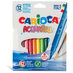 Carioca Набор фломастеров Acquarel, 12 шт. (42747)