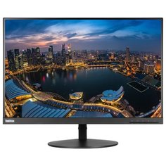Монитор Lenovo ThinkVision T24d-10 24" черный