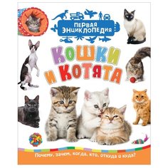 Гальцева С. "Первая энциклопедия. Кошки и котята" Росмэн