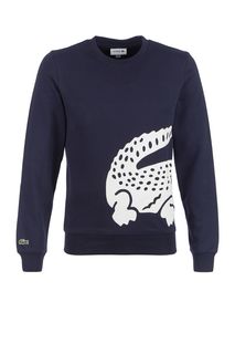 Синий хлопковый свитшот с декоративным принтом Lacoste
