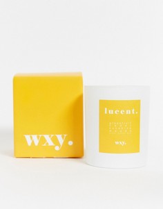 Свеча с ароматом грейпфрута и кедра wxy. lucent.-Бесцветный