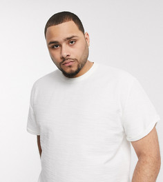Свободная футболка из плотного фактурного трикотажа ASOS DESIGN Plus-Белый