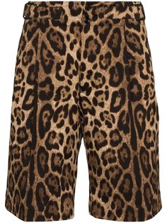 Dolce & Gabbana шорты-бермуды с леопардовым принтом