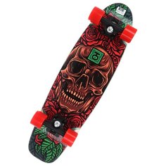 Лонгборд ЮНИОН Treasure 29