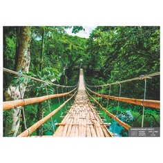 Фотообои бумажные Симфония
