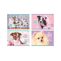 Альбом для рисования 32л. А4 на BG®