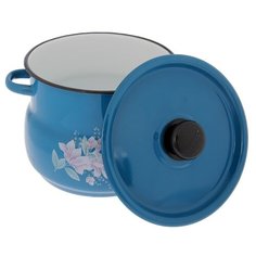 Кастрюля СтальЭмаль С1920.34 8 л